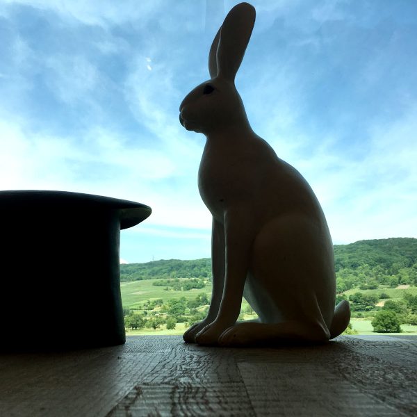 Kaninchen vor einem Zylinder im Hintergrund ein großes Fenster